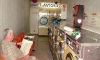 P0350 Dijon im Waschsalon